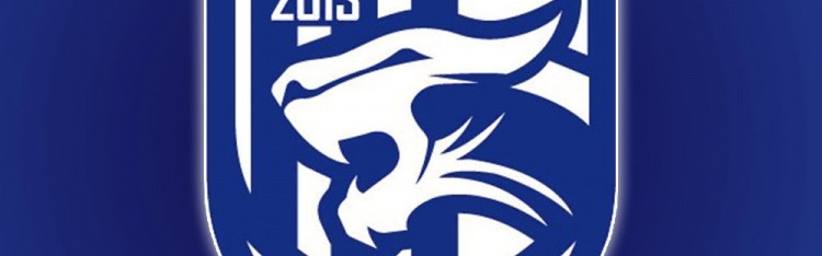 乐鱼官网-记者谈三镇引援情况：外援现在真没定下来，流程都还在梳理当中