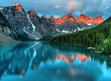 当年某某药酒真的抓了谭秦东，但这次西贝不可能抓罗永浩