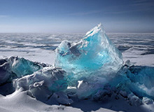 当年某某药酒真的抓了谭秦东，但这次西贝不可能抓罗永浩